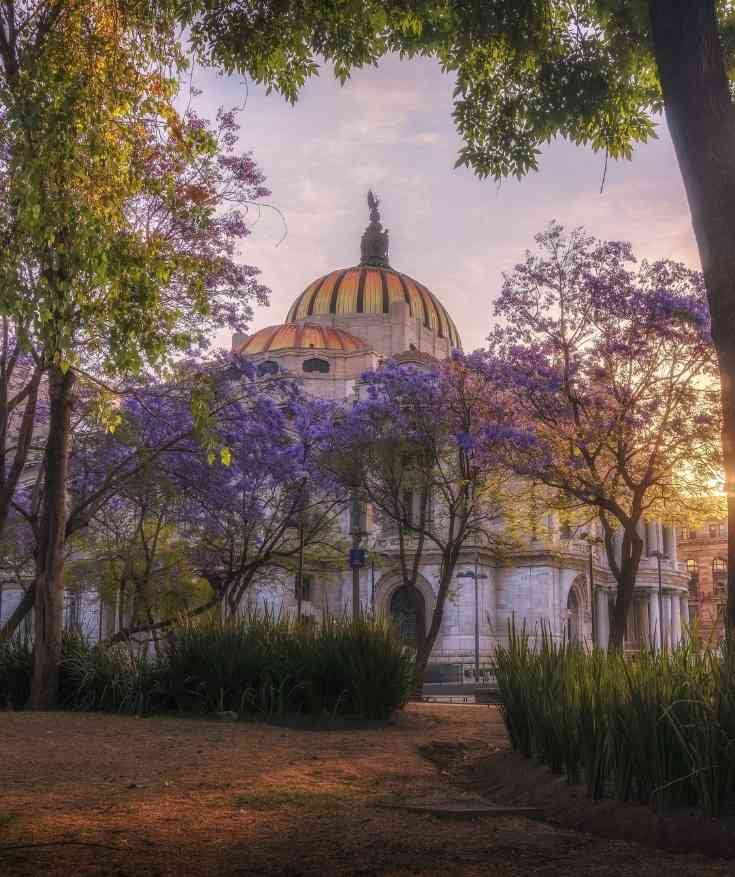 best time to visit Mexico City
