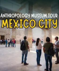 Mexico City Anthropology Museum Tour