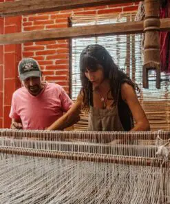 oaxaca textile tour