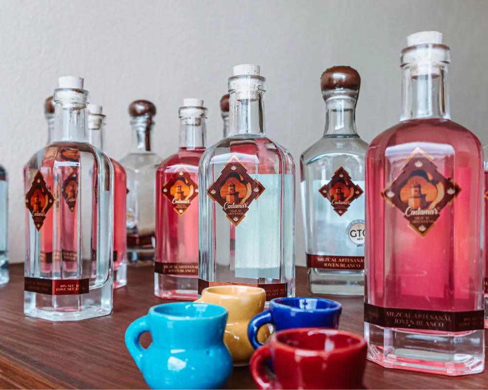 mezcal in guanajuato