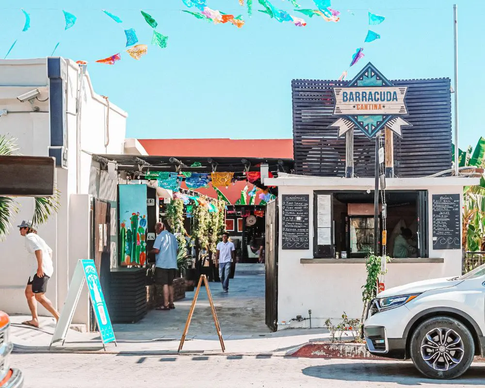 Todos Santos Walking Tour with lunch or dinner - Image 4