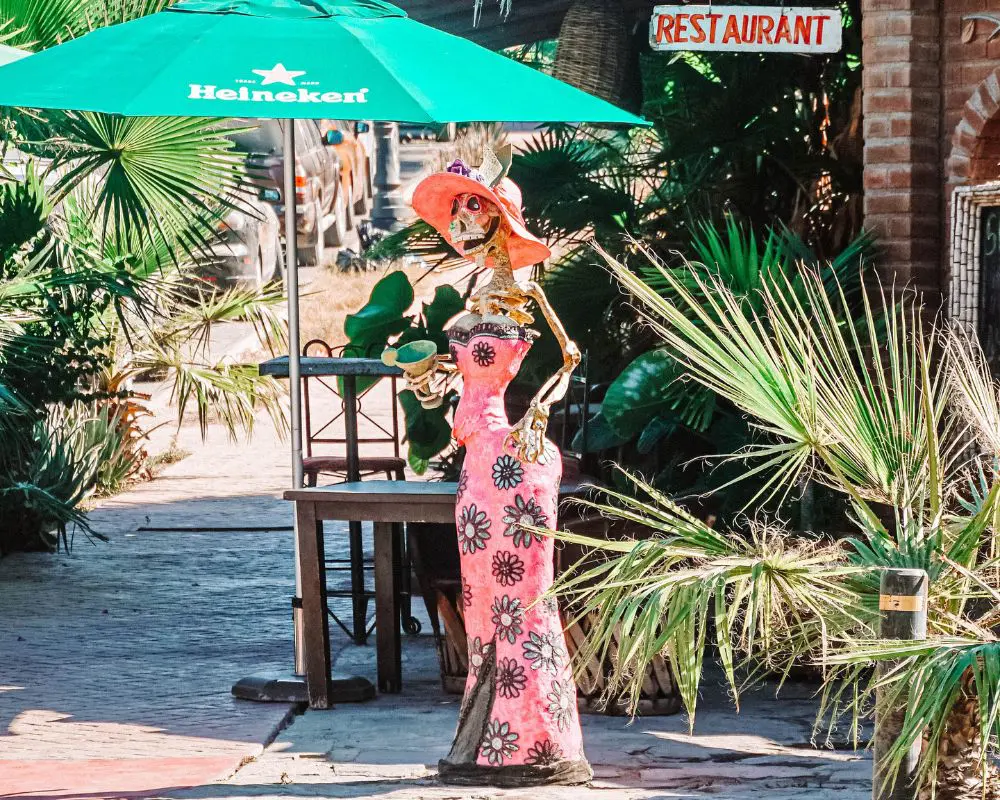 Todos Santos Walking Tour with lunch or dinner - Image 5