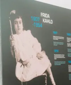 Visit Frida Kahlo Museum and Coyoacan (Tickets Included)