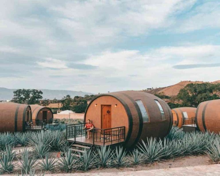 Visit Tequila, Jalisco from Guadalajara: literally the tequila capital of the world