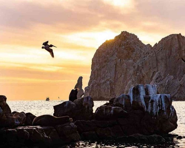 Mexico Insider’s 14 things to do in Cabo San Lucas